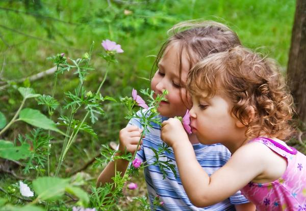 Two young girls outside smelling pink flowers.