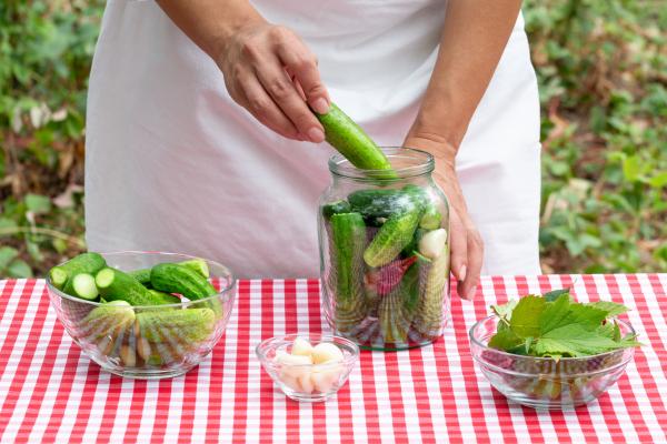 Female cook puts fresh cucumber in glass jar for preservation